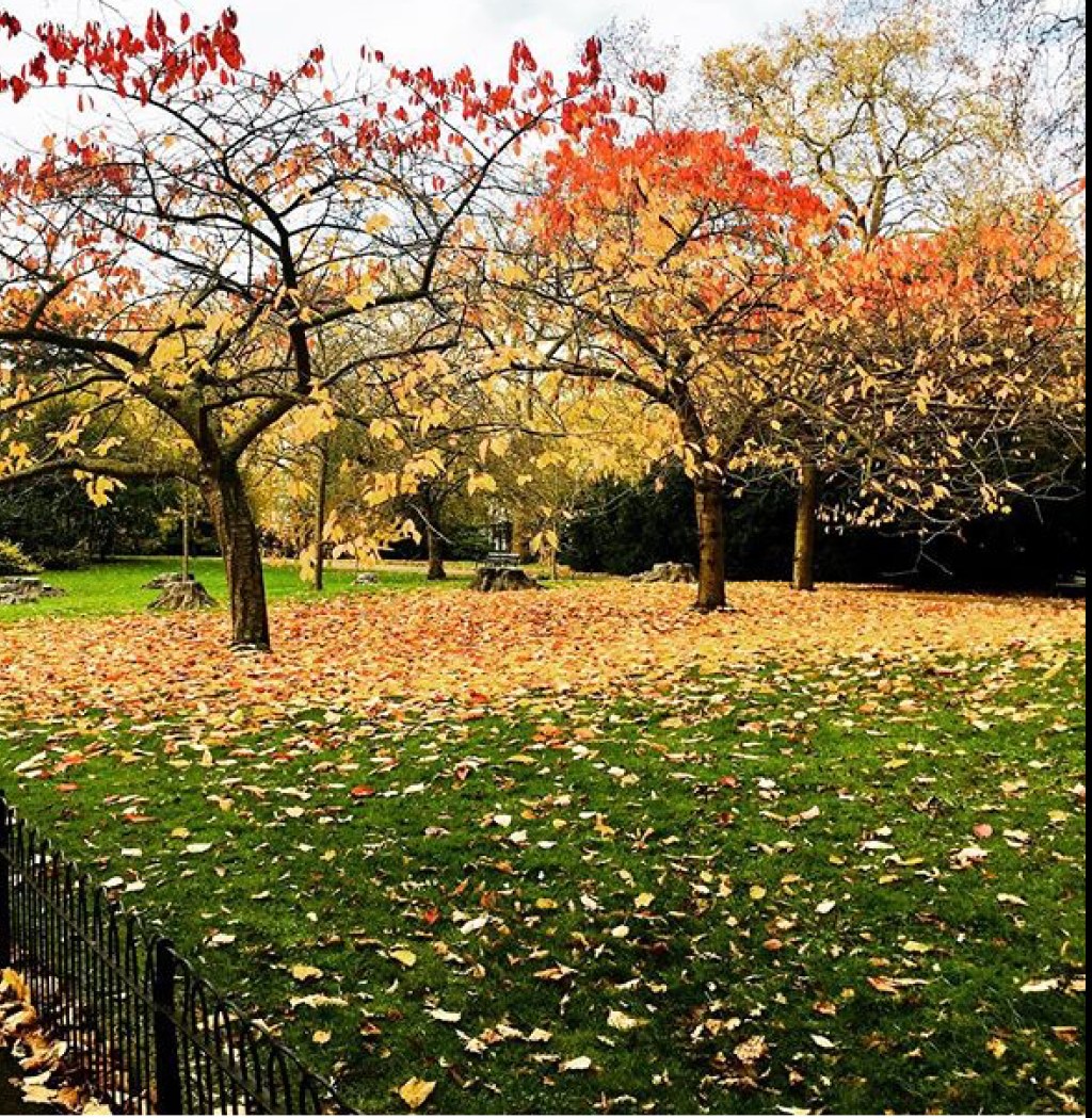 The magic of&nbsp;colour