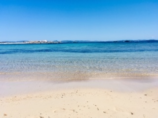 Articolo senza titolo 389